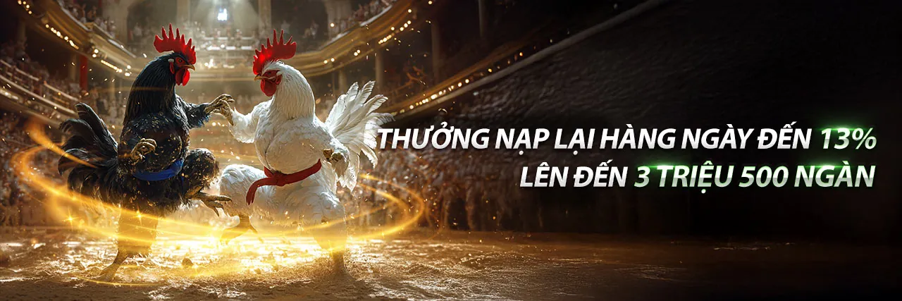 Tin tức mới nhất ae888co nhà cái