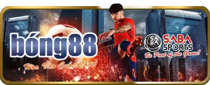 Báo cáo hiệu suất AE888CO